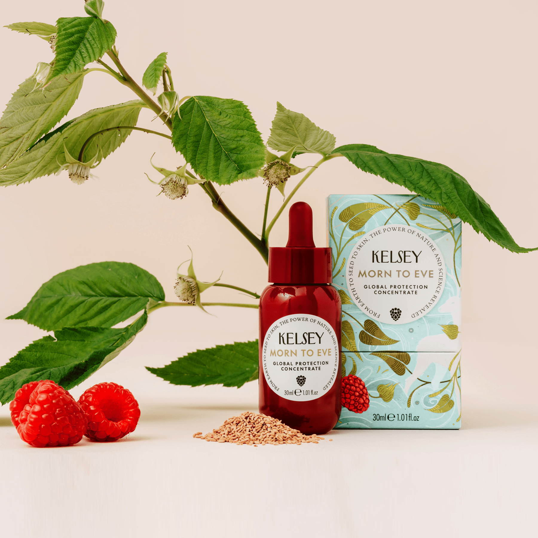 The Takeback Promise