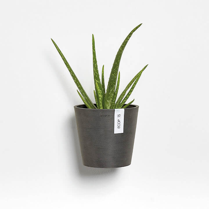 ECOPOT Sustainable Plant Pots